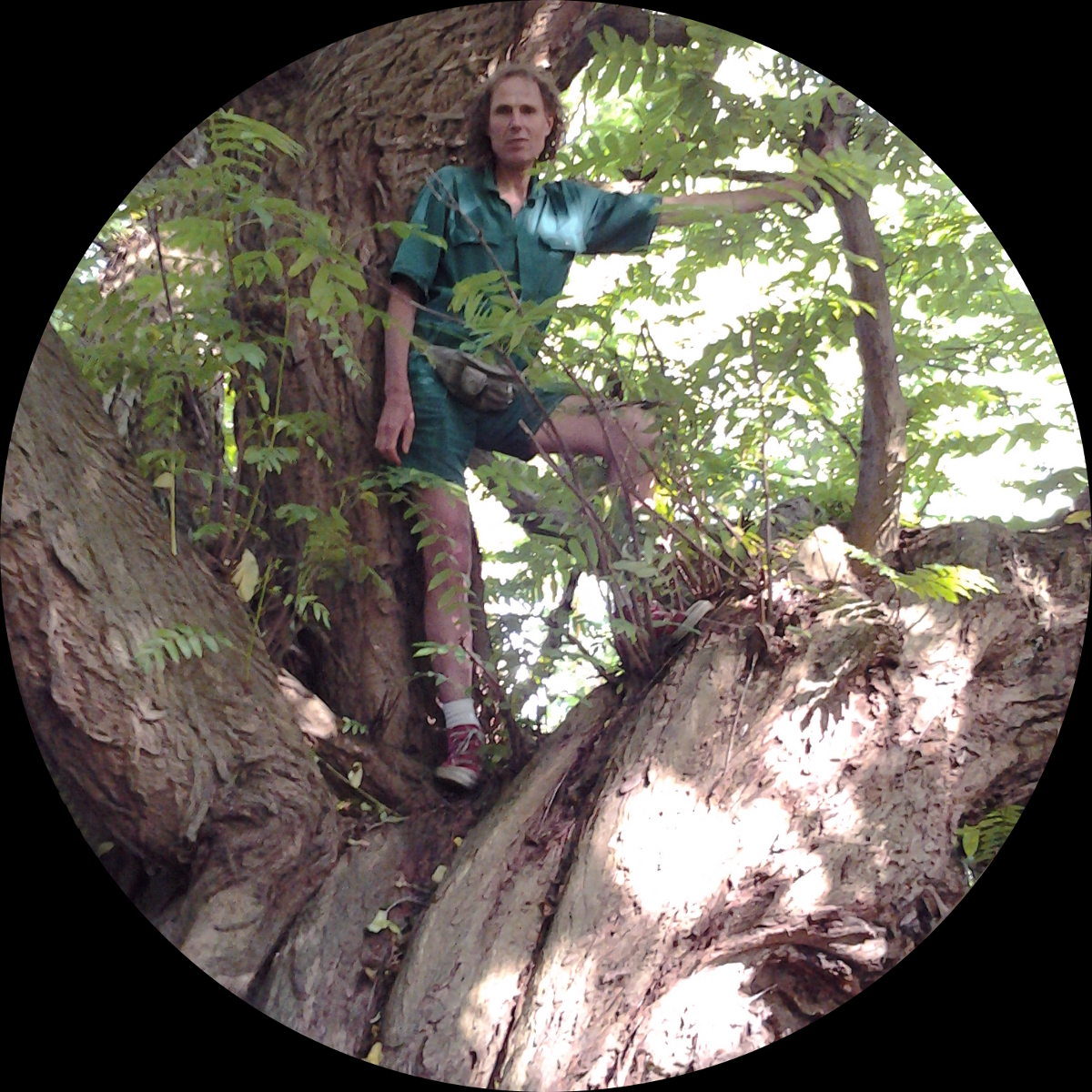 1200PX ROND ZWART (1119K)