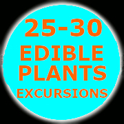 25-30-EXCURSIONS (56K)